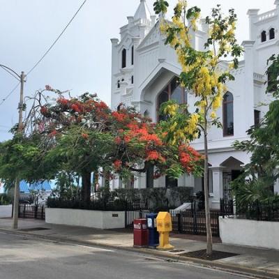 Key West street