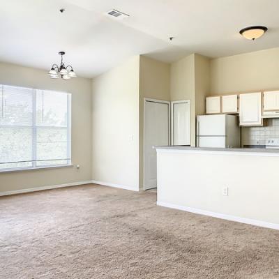 Living/dining room combo