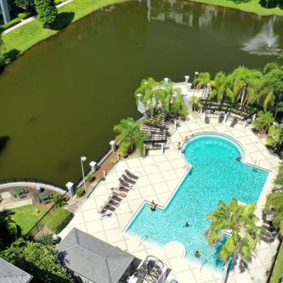 Pool with pond views