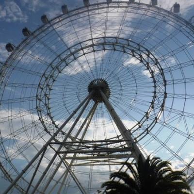  The Wheel at ICON Park, Orlando