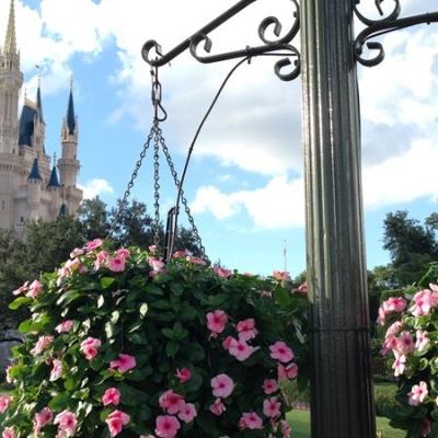   Cinderella Castle, Magic Kingdom